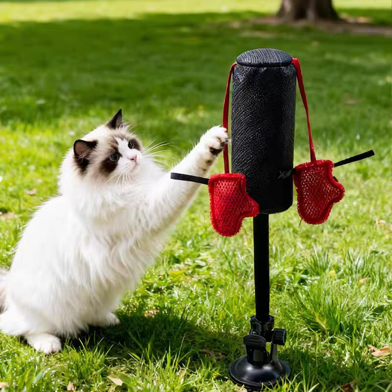 🔥Last Day -49% off🔥Interactive Cat Boxing Toy （The Joys of Cats）🐱🥊