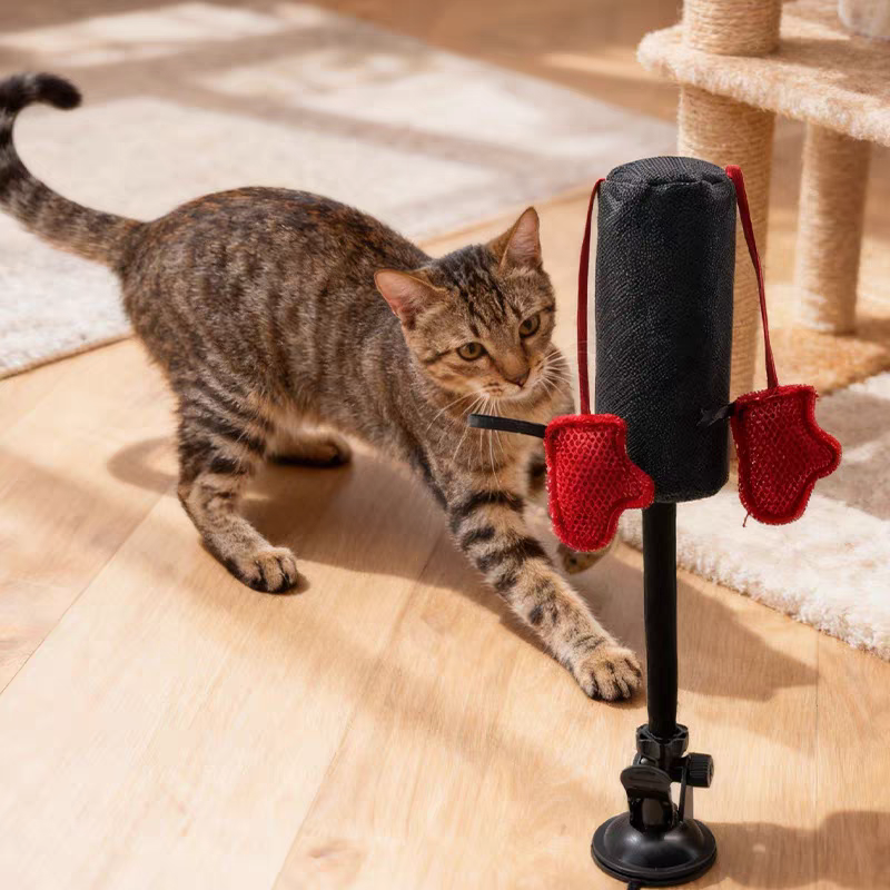 Cat toy for indoor cats and multi-cat homes