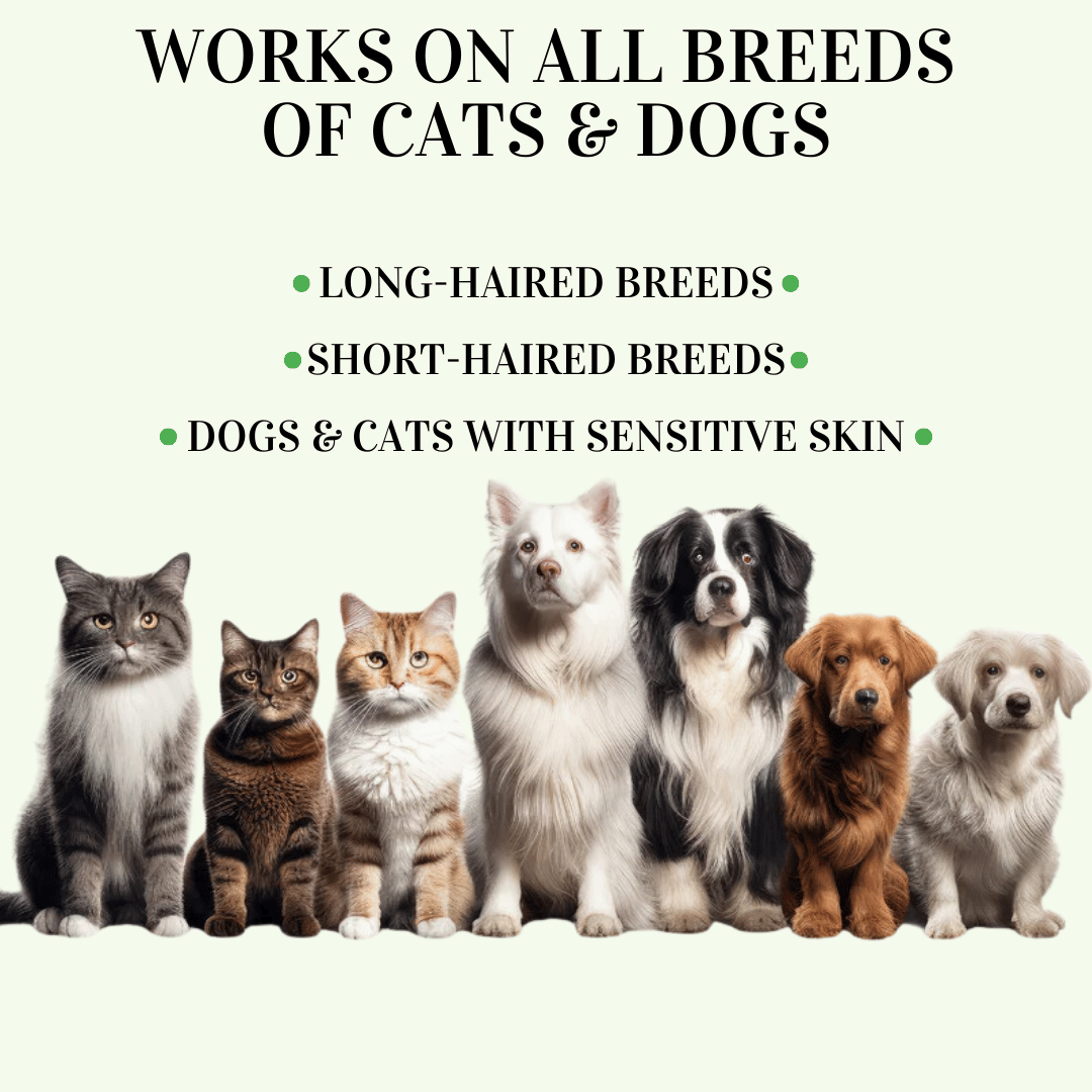 🔥Last Day Buy 1 get 1🔥Pet Collars for Flea and Tick Prevention🐕🐈