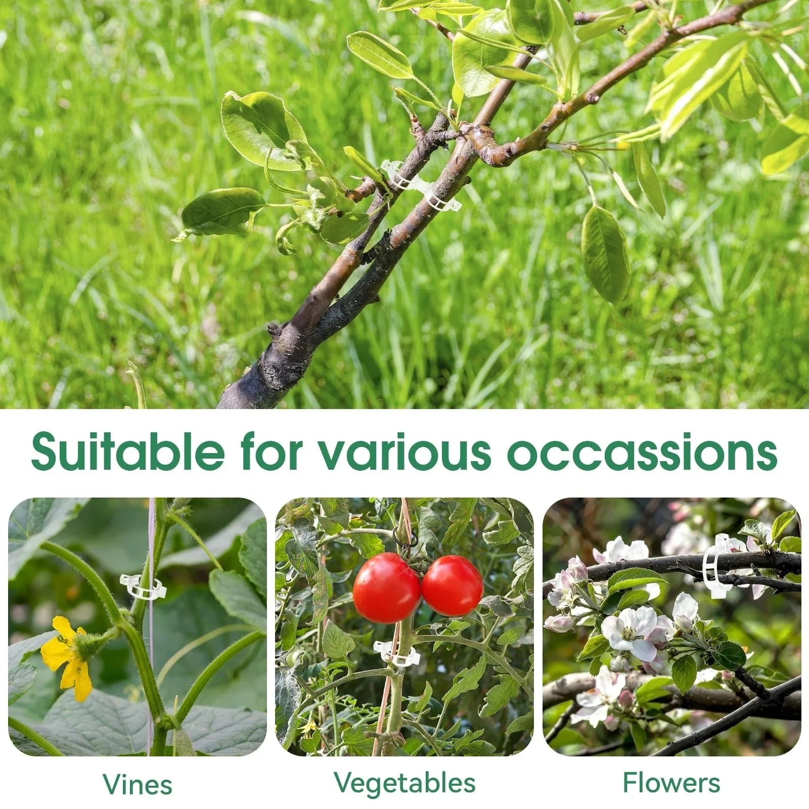 Plant support clips used on vines, vegetables, and flowering plants
