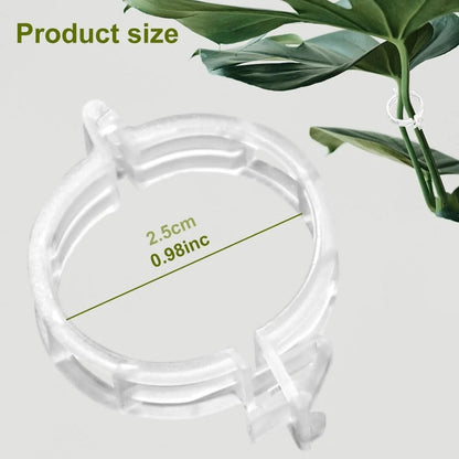 🔥Last Day Buy 100  Get 100🔥 Reusable Plastic Scaffold Clamps🌱