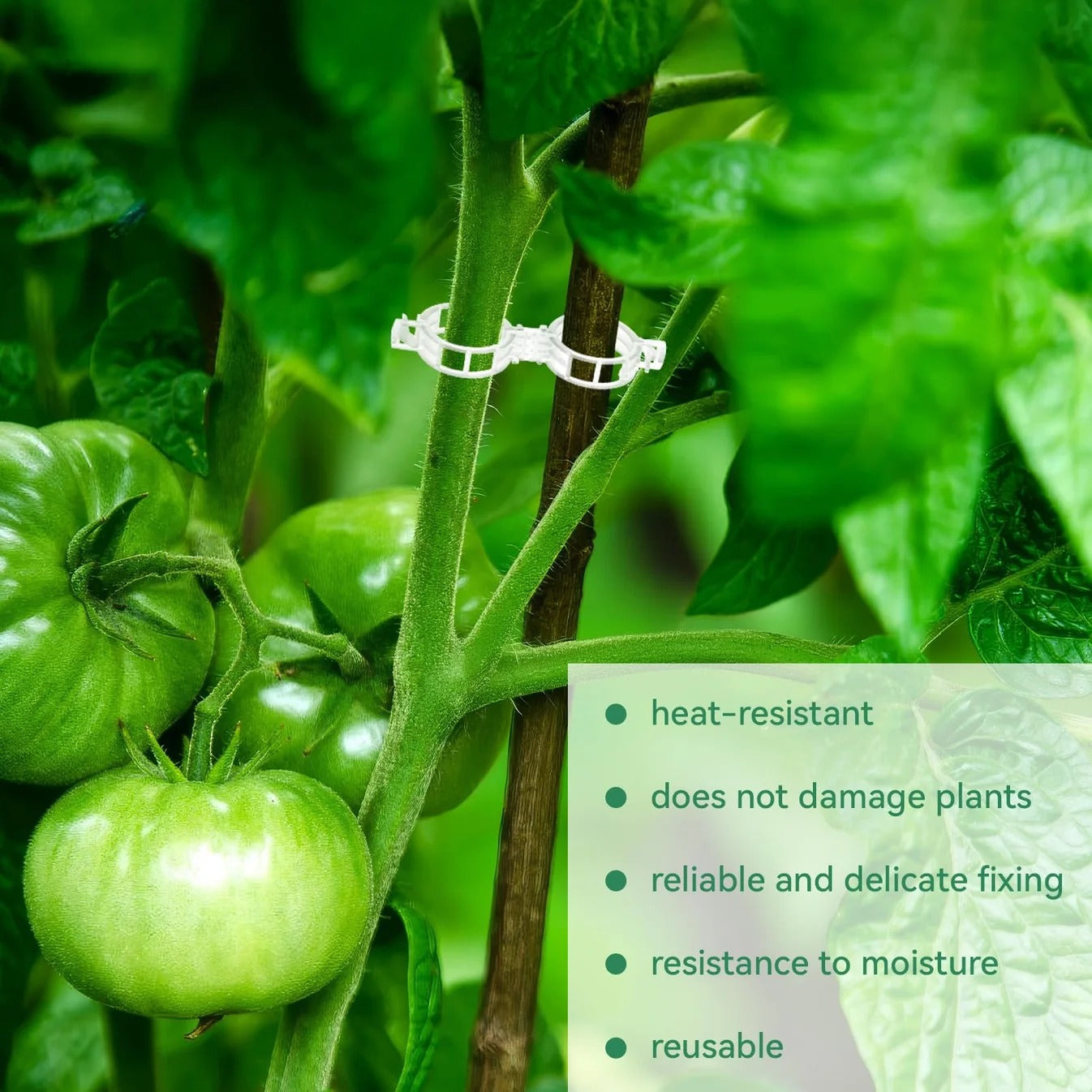 🔥Last Day Buy 100  Get 100🔥 Reusable Plastic Scaffold Clamps🌱